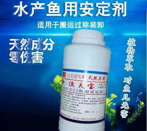 从市场上买来的活鱼，有可能是刚从麻醉中醒来。央视报道说，山东临沂有商贩，在运输