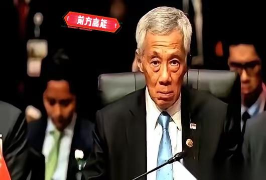 新加坡估计怎么也想不通。舒舒服服躺在马六甲海峡上收了几十年“过路费”，以为自己