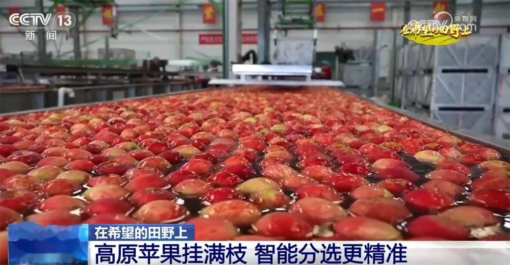 特色产业成为乡村振兴“甜蜜产业”