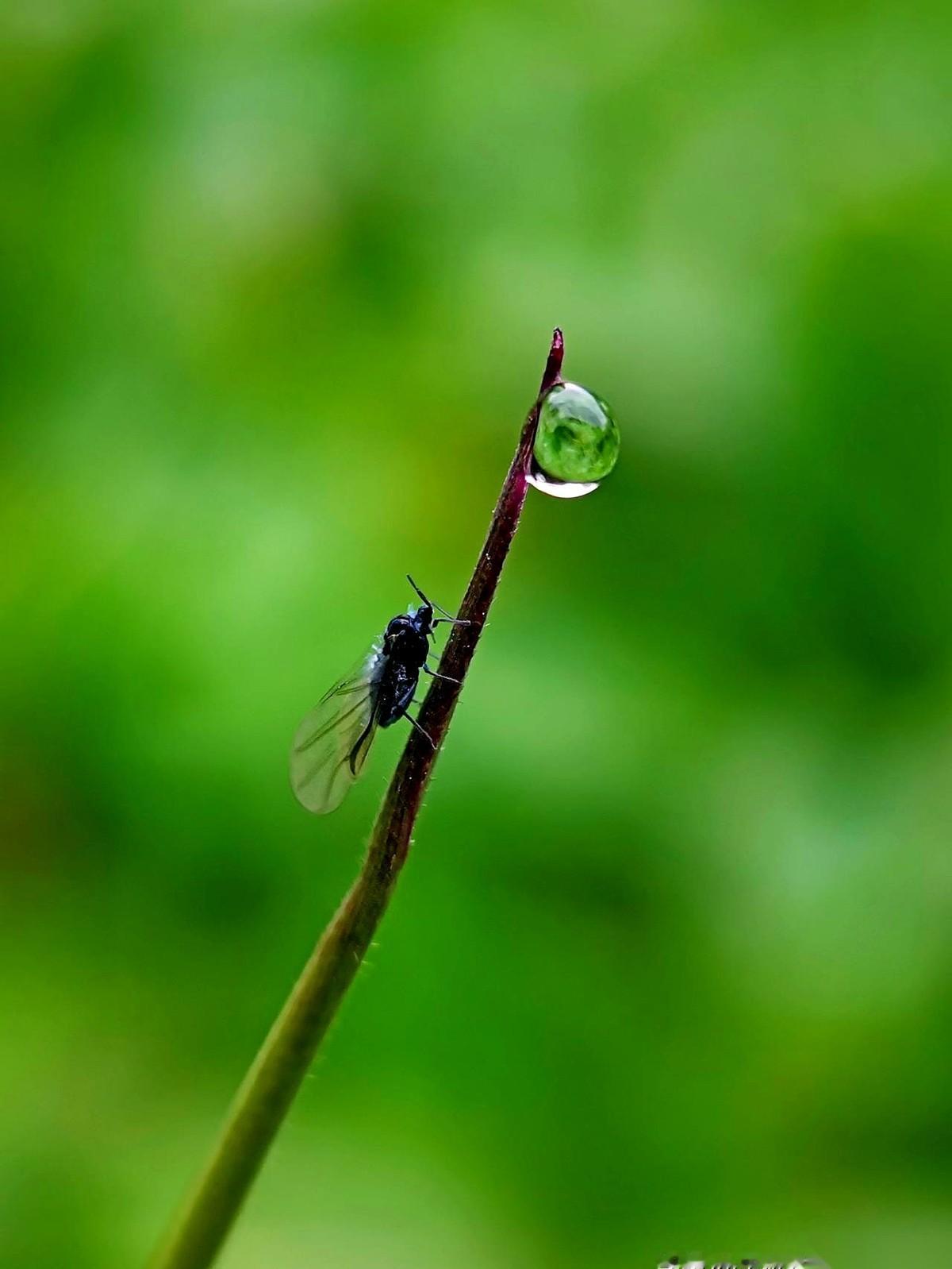 一万块，就这么没了。真的，就一下午的功夫。早上还看着账户里那个数字，笑得像个