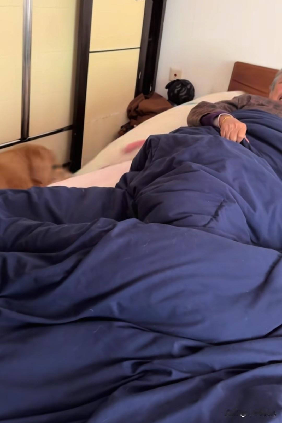 我家奶奶年纪大了有些糊涂，错把狗狗的小枕头拿来自己枕，结果狗狗不乐意，硬是凑过去