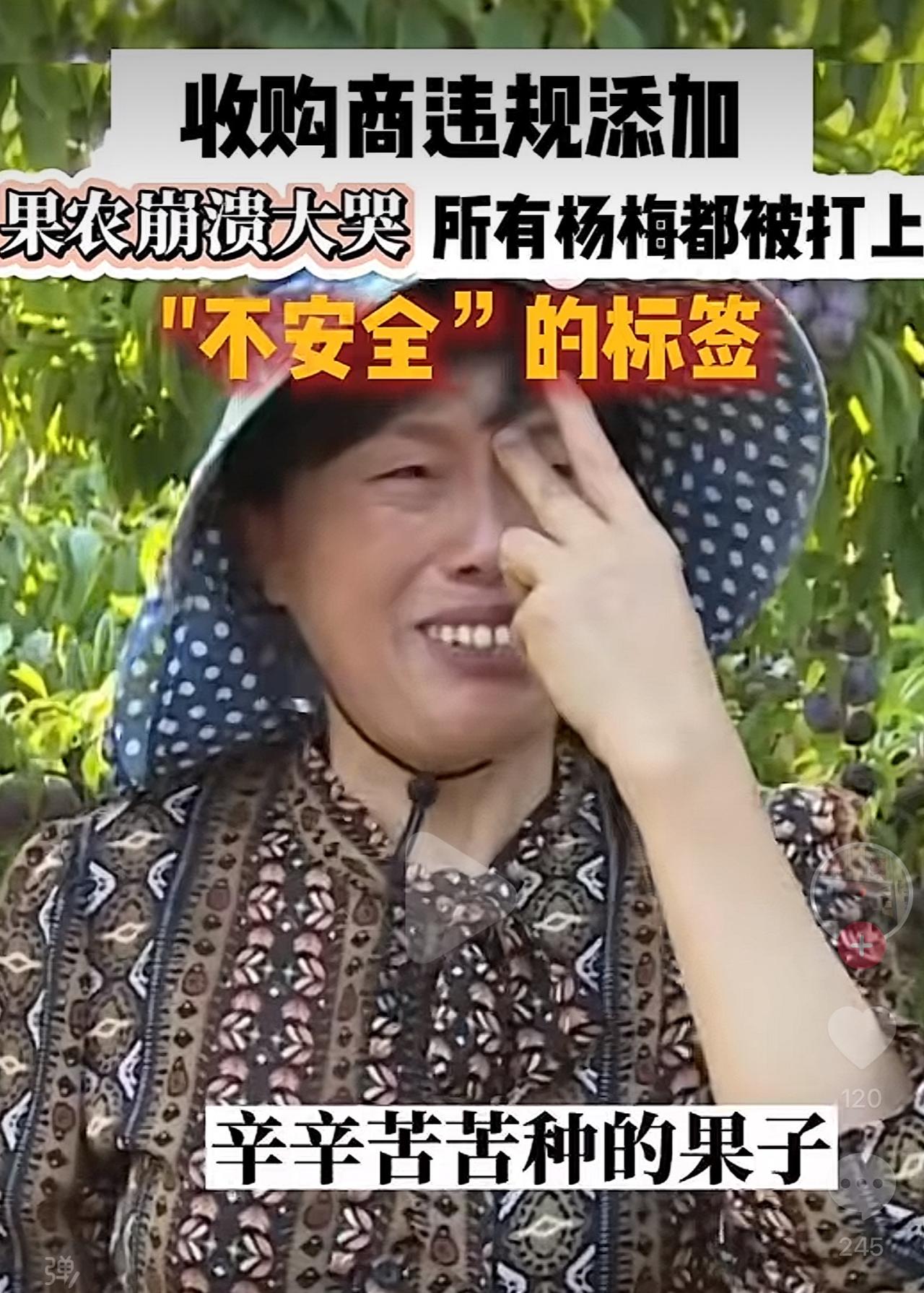 “毒杨梅的问题大家枪头不要瞄错了”，这次泡水杨梅事件发酵后，今年的杨梅滞销了误伤