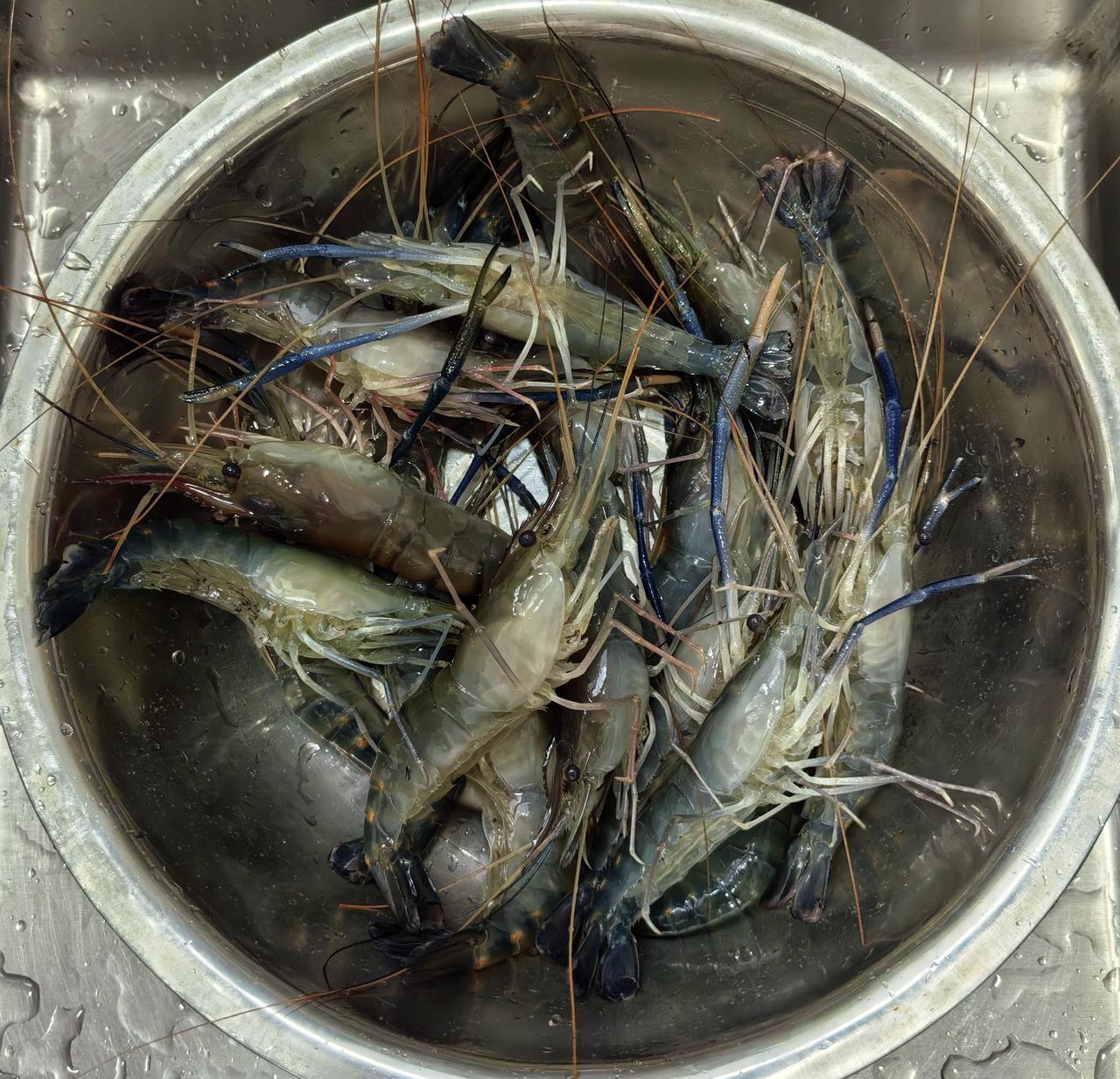 闺蜜对婆婆很不满，她婆婆嘴很馋，做饭的时候尝咸淡就吃了两个大虾，而且挑最大的。