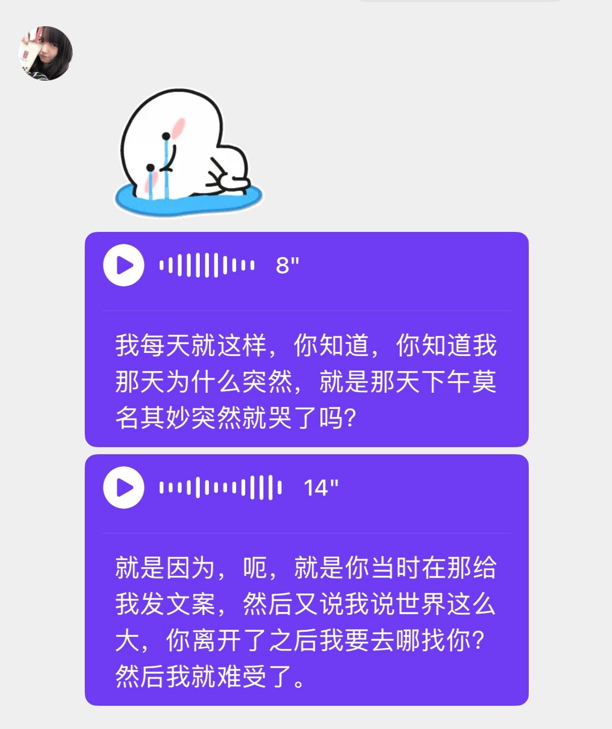 啊猪啊专栏·猫猫日记