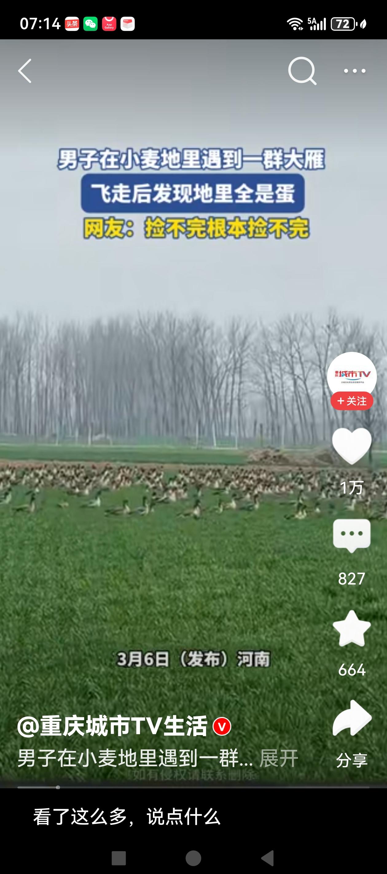 大千世界，总有一份惊喜会属于你！3月6日，河南一网友发布视频称，路过一片麦田