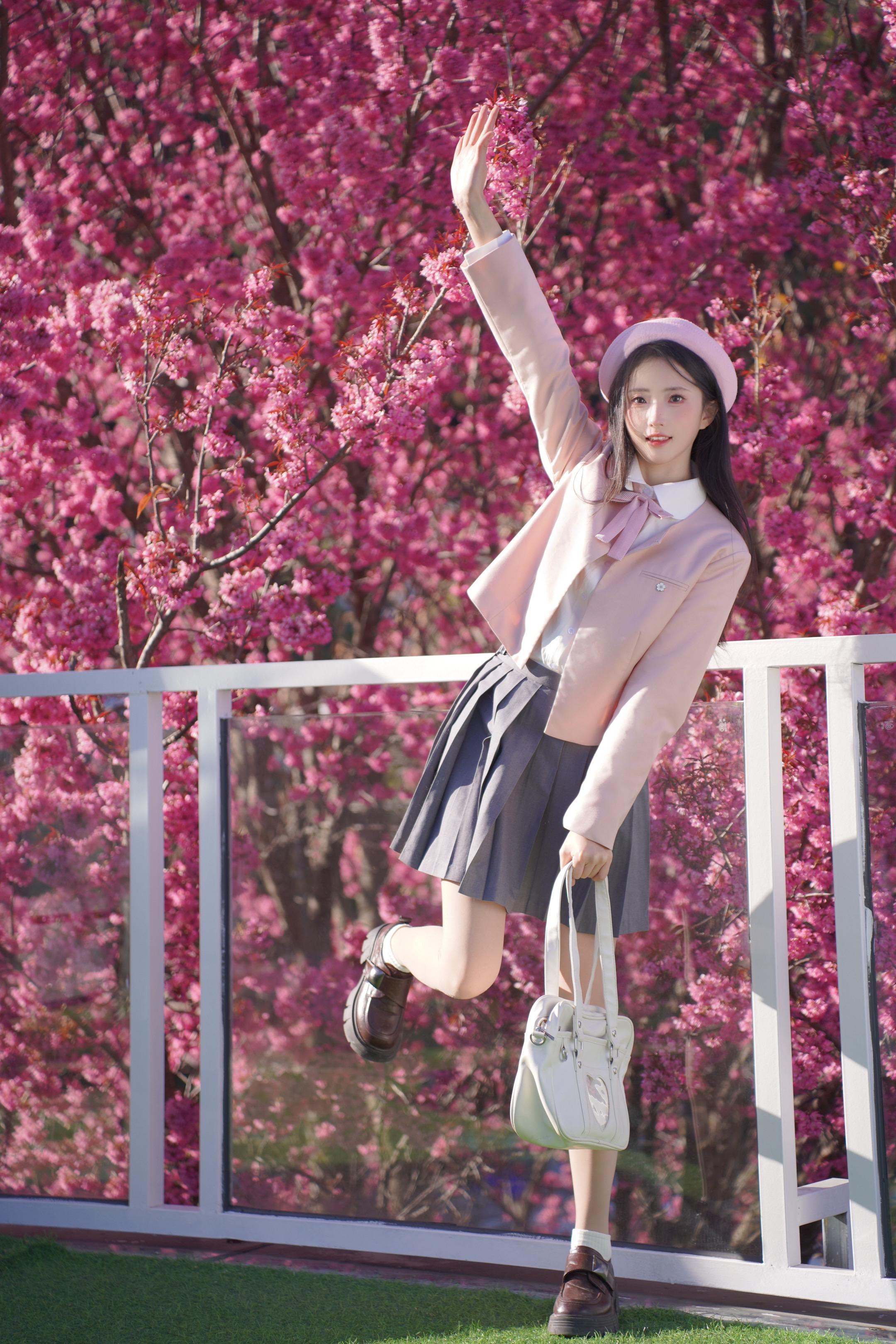 浪漫又热烈的冬樱花～