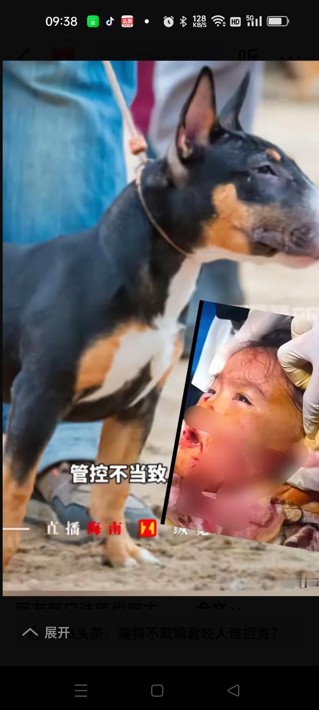 实在太让人失望了。小女孩被咬的这么惨，以后脸上肯定会留下疤痕的，还有四五个大人