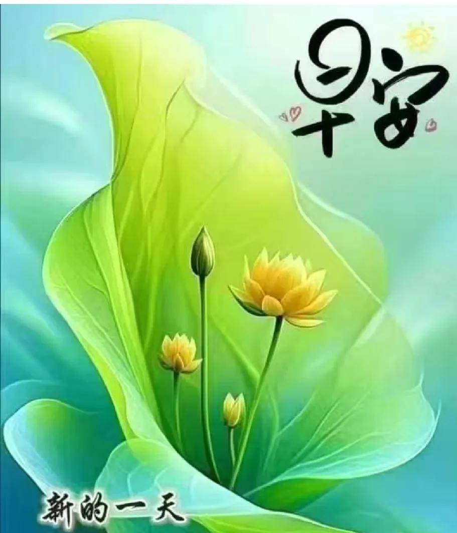[玫瑰]早上好[玫瑰]早安，世界！[玫瑰]清晨的第一缕阳光洒在窗前，微风轻拂