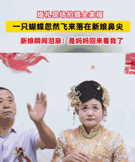 这一幕，连科学都解释不了！山东，婚礼当天，新娘出门前正和爸爸拍合照。突然，一只蝴