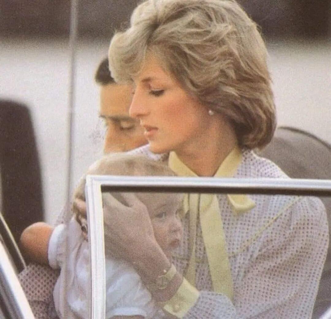 他怎么能不恨查尔斯和卡米拉，黛安娜王妃在生威廉的时候才20岁，还是一位新手妈妈她