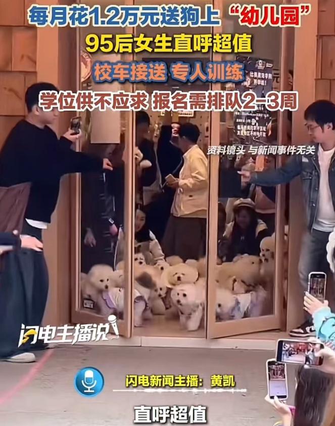 别用“花自己的钱”洗地了：当狗权凌驾于人权，这社会出问题了！刷到这条新闻，我