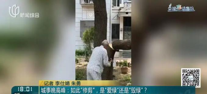 5月27日，上海这群老头闷声“干了件大事”，自费网购电锯斧子，把小区里20多年的