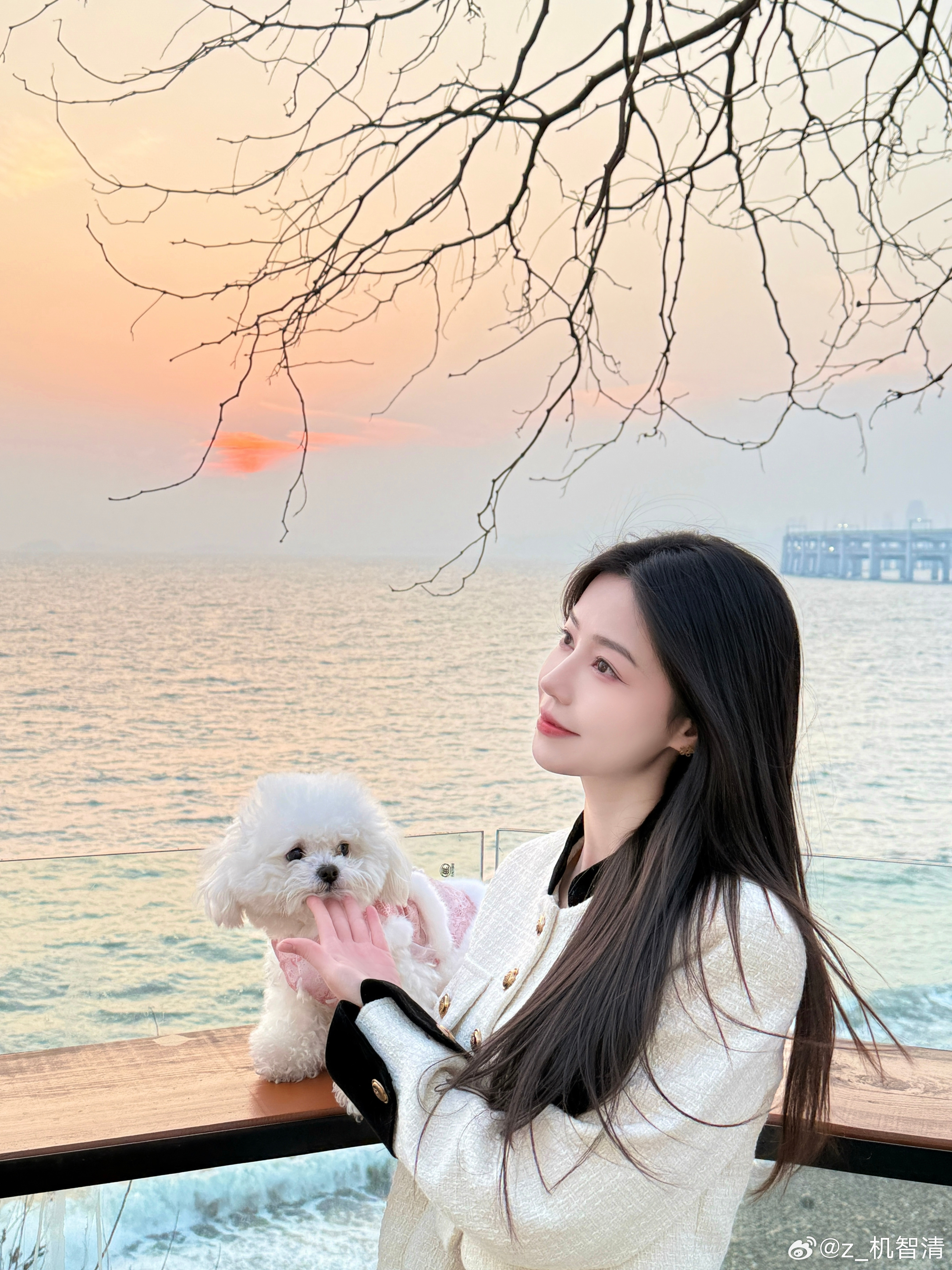 天气那么好当然要出门啦海边落日海鸥周末愉快大连·银沙滩公园