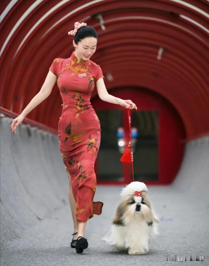 果然还是养宠人最懂养宠人！我刷到霍思燕带狗拿国际冠军那条热搜，立马转给我闺