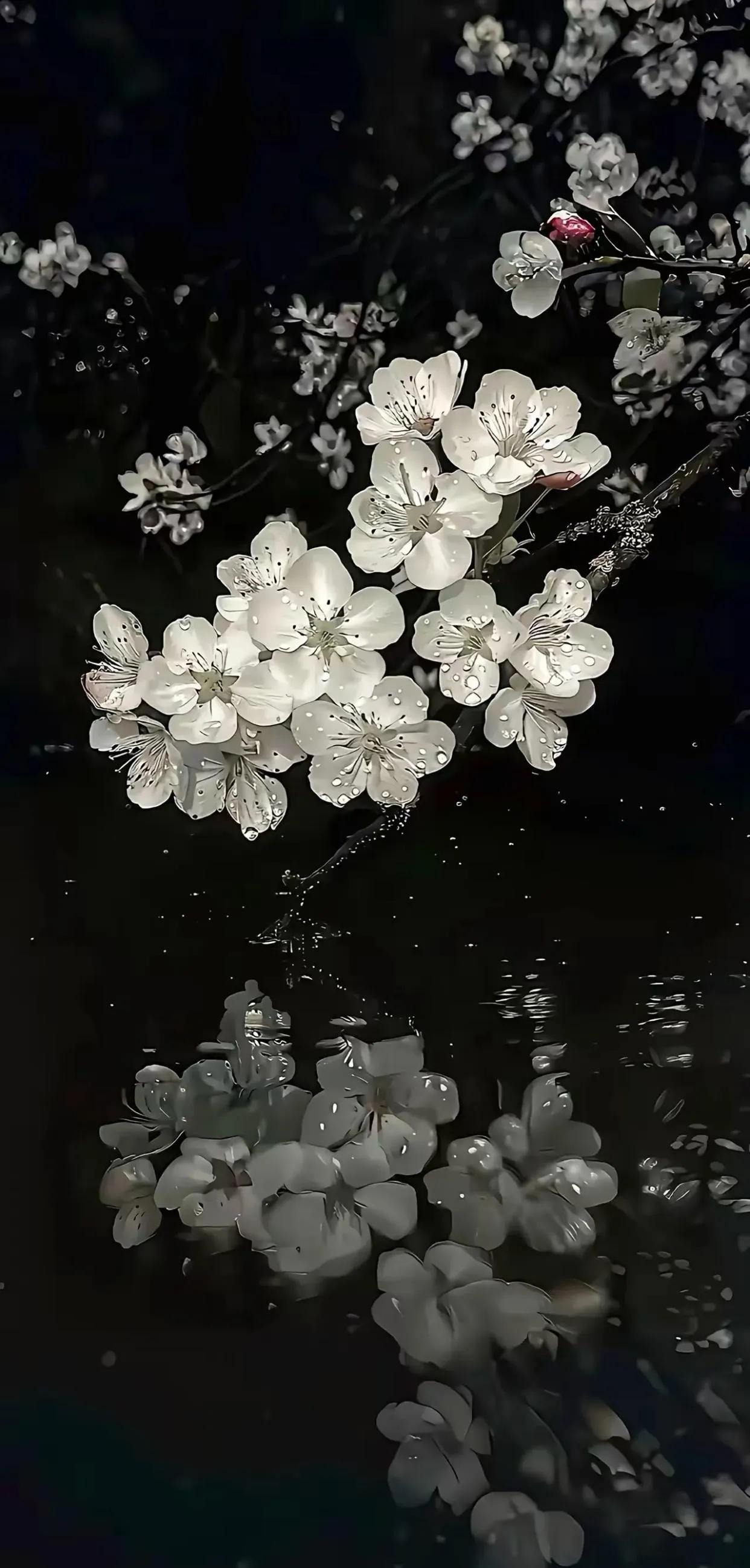 执念一散，心就轻了，真正的安稳，不是得到什么，而是不再执着于什么。胡思