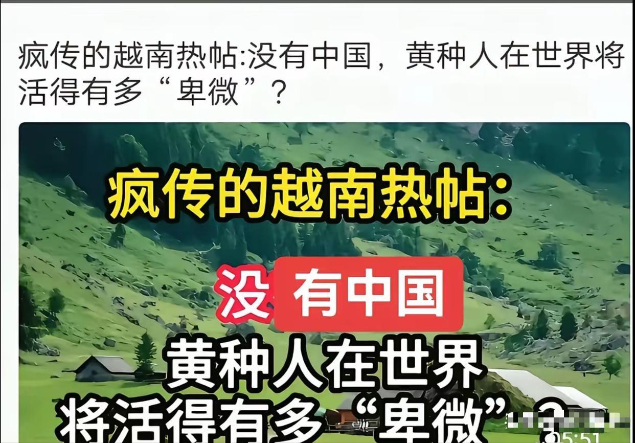 一位越南网民发帖感慨：原以为高市那番话只会点燃中国本土网友的怒火，没想到“翻旧账