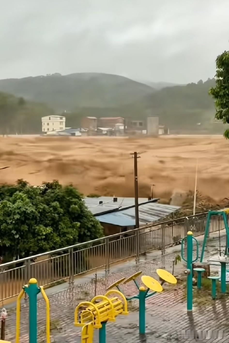 真的好难过，还听说那里毒蛇也很大，真的好担心他们，那些毒蛇又大又淹不了，在洪水上