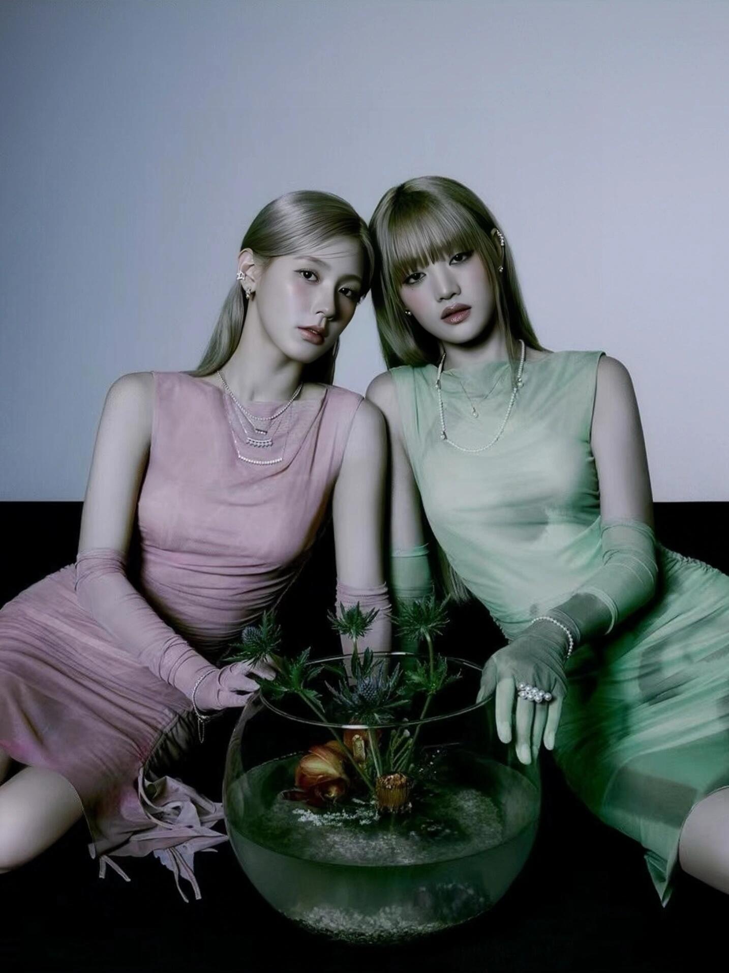 赵美延&minnie泥潭中绽放的的双生花🪷​​​