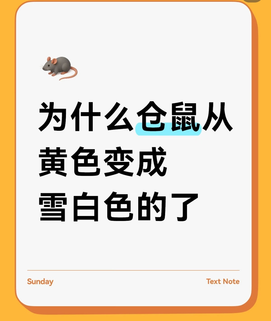 哈哈哈看到好多仓鼠死了家里人买新的替代的事情