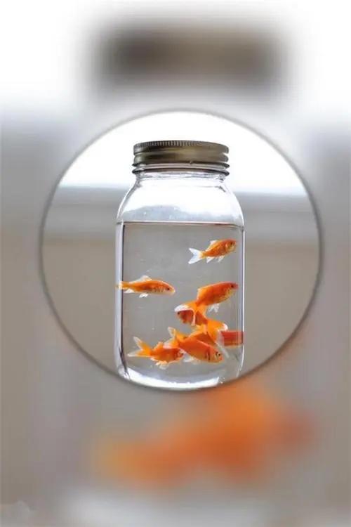 一个环境里，当善良人不再退让，不再软弱，而是变得雷厉风行，开始计较。损失最大的其