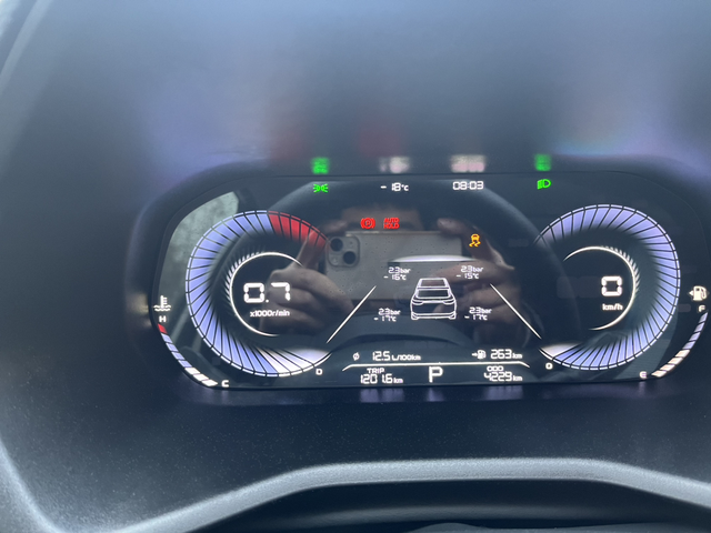 有谁遇到过车子被冻坏了的吗今天早上-27度启动车辆正常，仪表显示自动启停和手刹