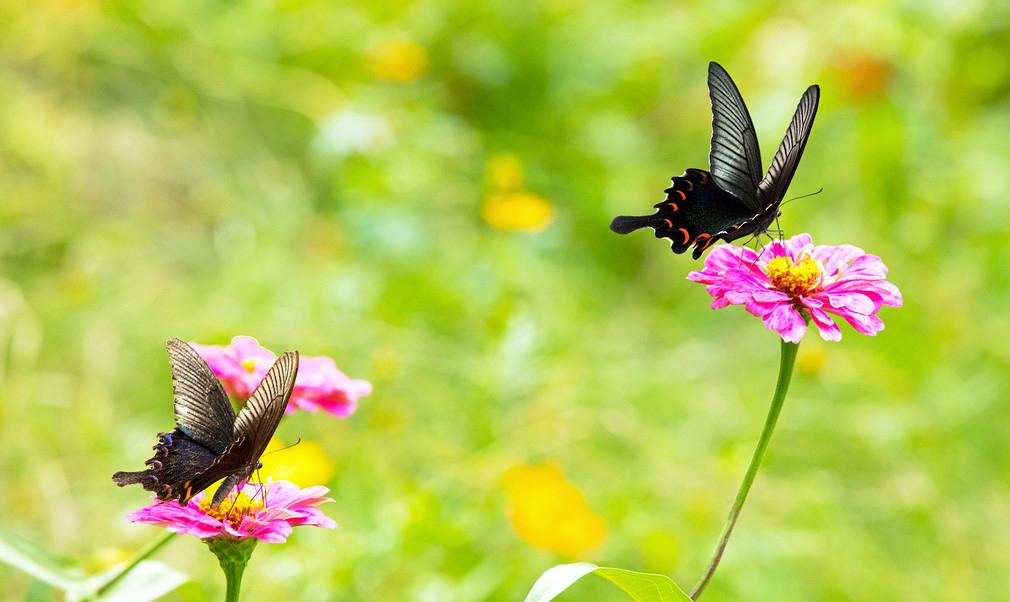碰到两位学生家长，两个孩子的家都住在仙林，但是两个孩子的家长的想法迥然不同，我说