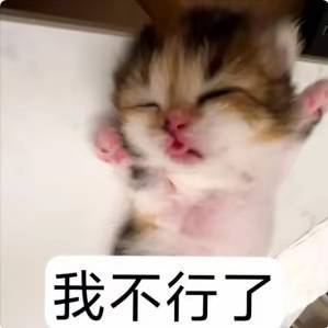 现在的人智商真神了刚刚居然看到有个人在一篇父子文底下问是不是双洁，