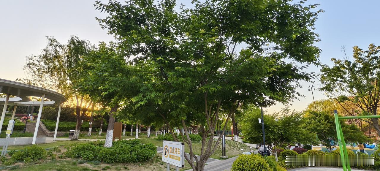 跟领导对着干的人，最后都怎么样了？先讲个真事儿。我第一份工作，有个同事叫
