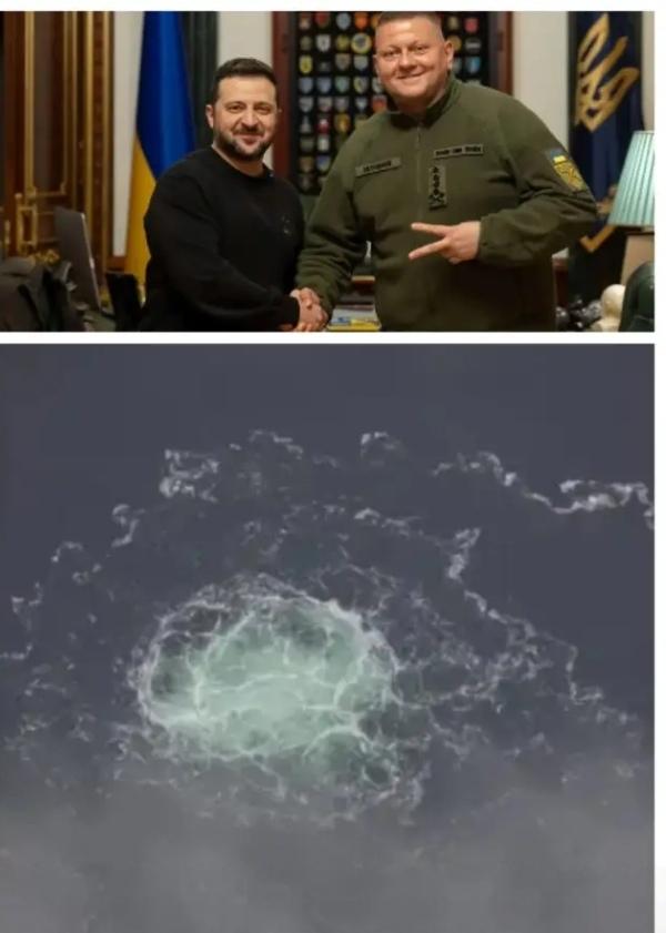 网友说:德国政府，如何向德国民众解释一面向乌克兰捐助军火装备，一面忍受着乌克兰政