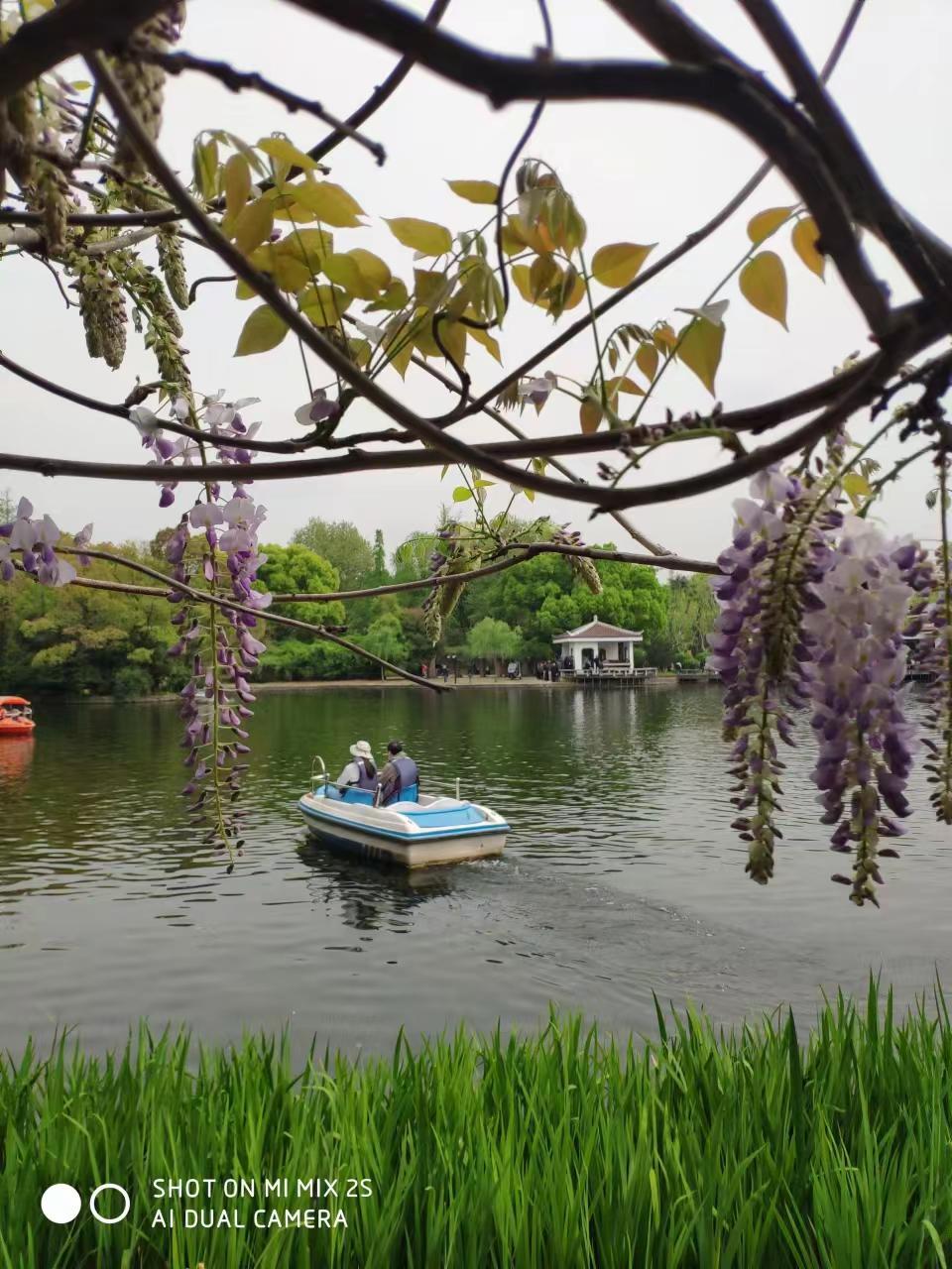 随手一拍都是美景一起享受大自然的美