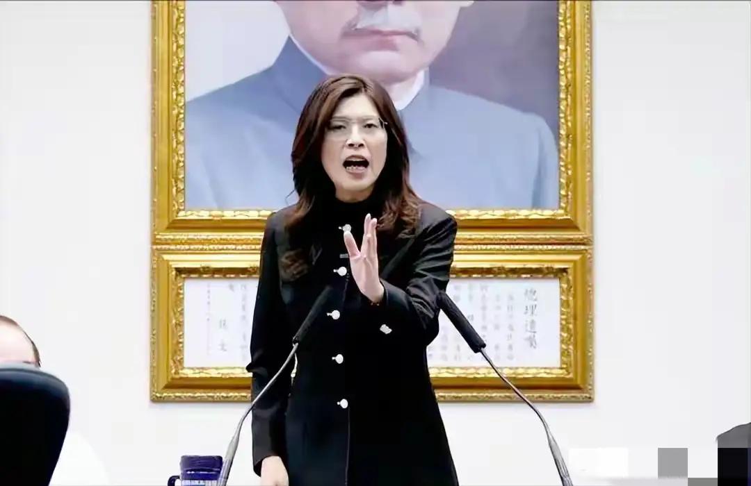 郑丽文直言希望能参与维护美国“第一岛链”，得到安全保障承诺。2026年4月底，