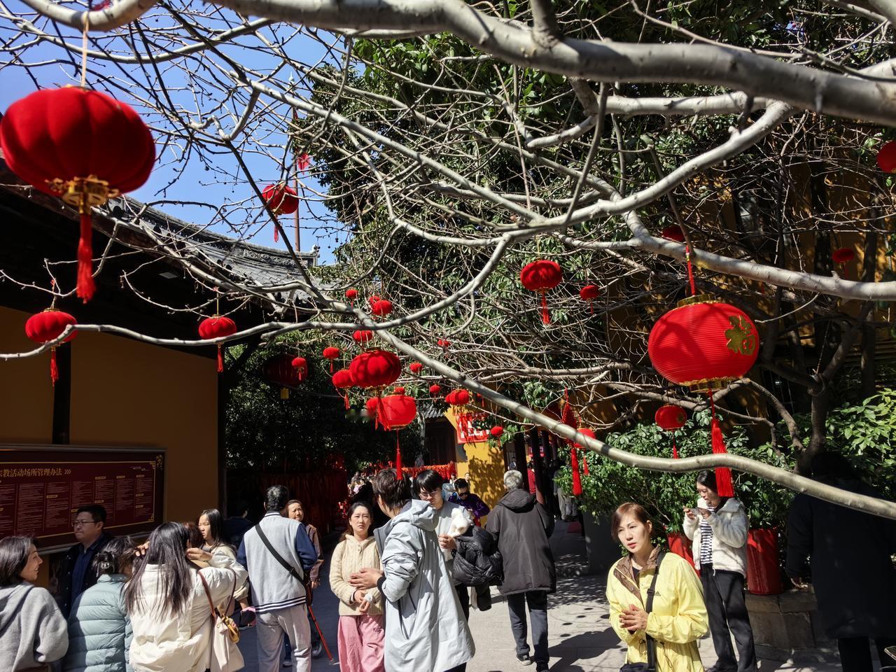 春节拜年期间，有个亲戚是杠精，我说啥事，她都条件反射地反驳我，真奇怪。我都不接