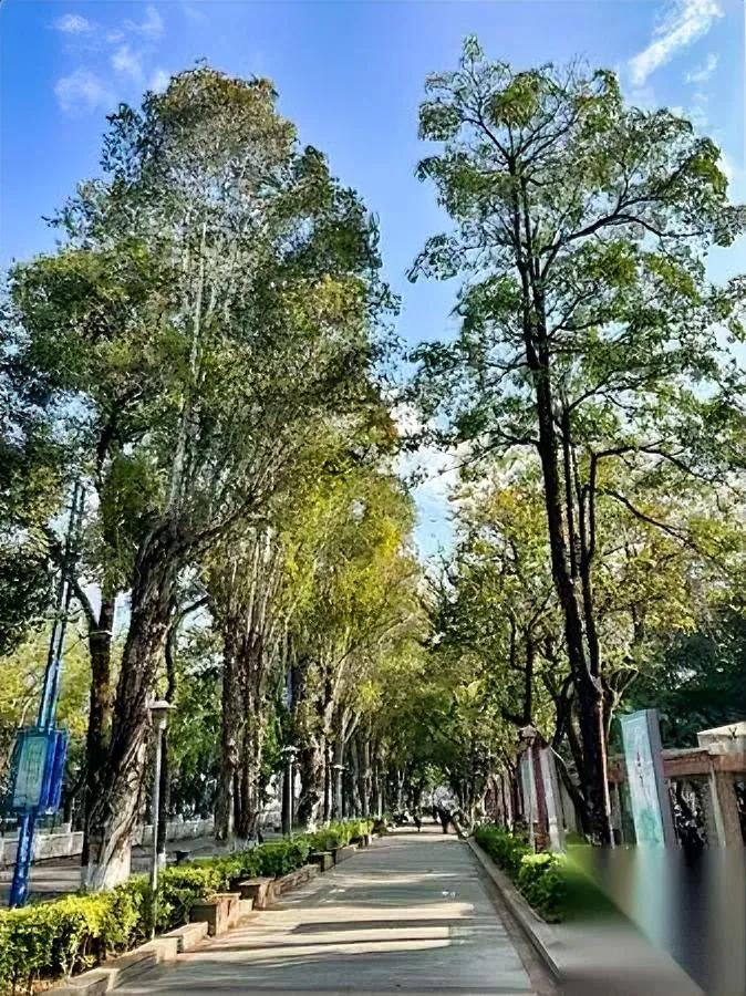 同事昨天的话，我到现在还觉得扎心。她说现在十个家庭九个，连20万存款都拿不出