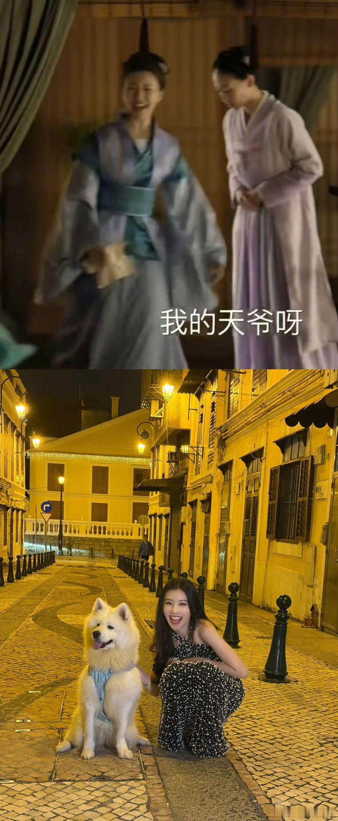 王鹤润这段像华兰见到鬼热闹昨日出席爱奇艺尖叫之夜活动，和狗狗在街头的互动治愈感满