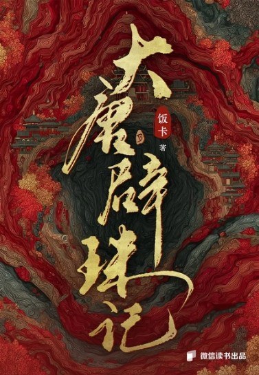 每天推荐一本网络小说饭卡大唐辟珠记​​​
