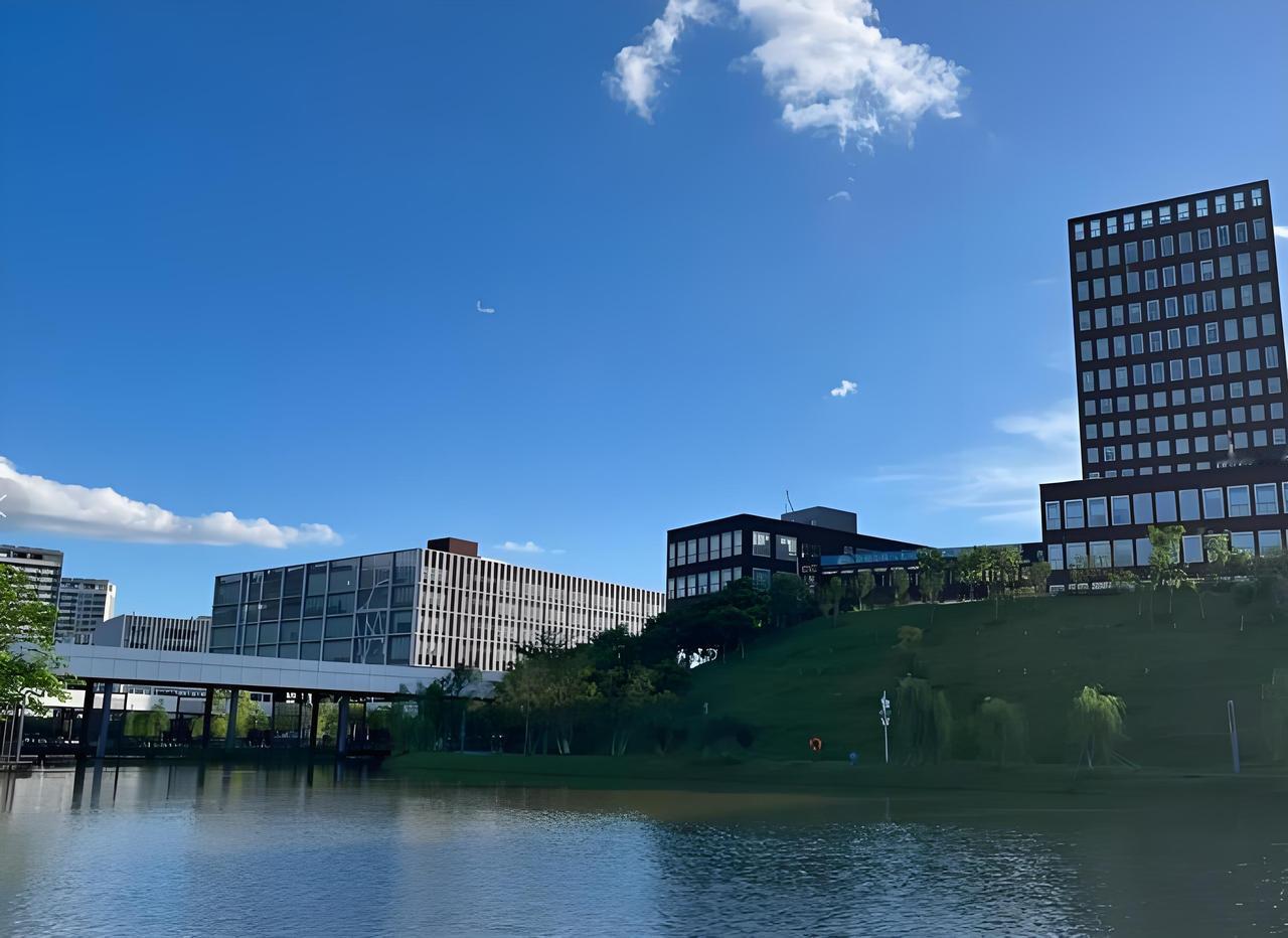 双非选校封神｜别追排名，就业好才是硬道理先骂醒所有纠结双非的人：别再死磕学校排