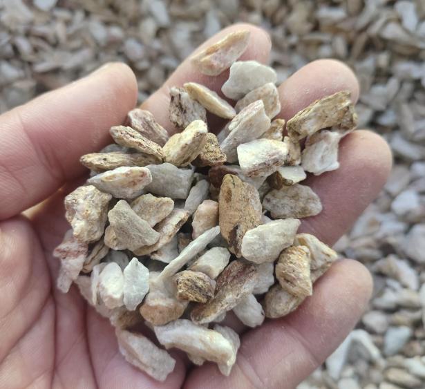 阳痿早泄，简单2味药，通络振痿，益肾固精，10个人用了9个好！在