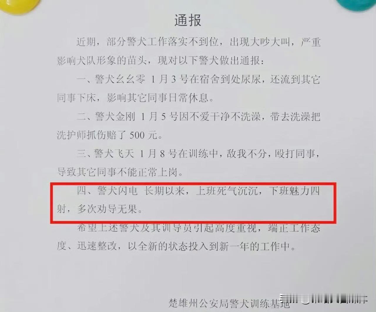警犬被通报批评上班萎靡下班嗨这届警犬也有“职场倦怠”？警犬闪电火了！上