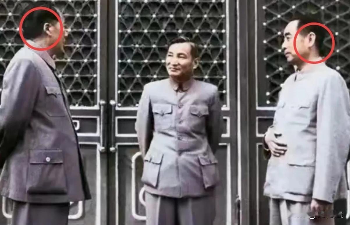 我发现：毛主席的耳朵形状，和周总理的耳朵形状，是不一样的。而且，区别很大：毛主席