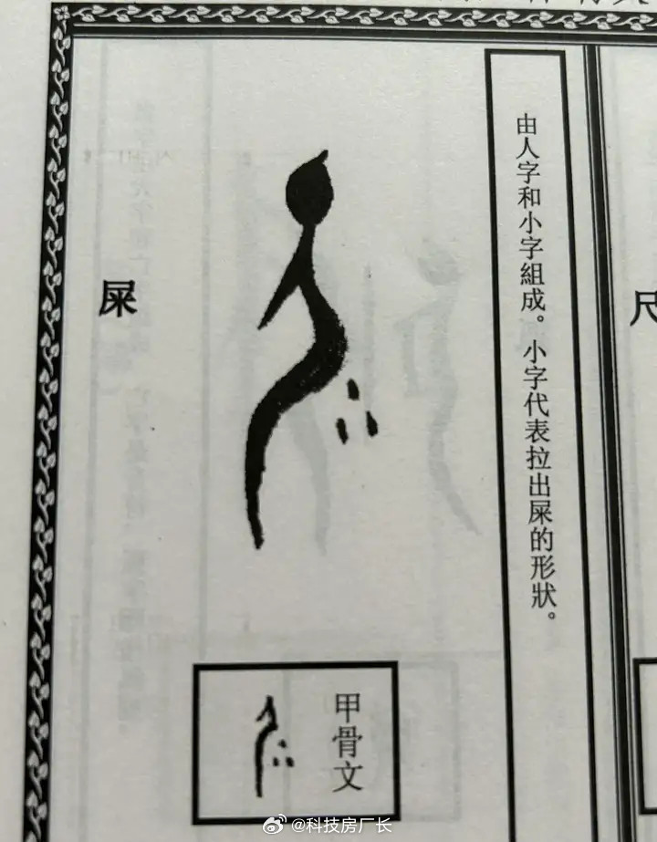 甲骨文真形象，那在身后画个圈是不是念屁💨​​​