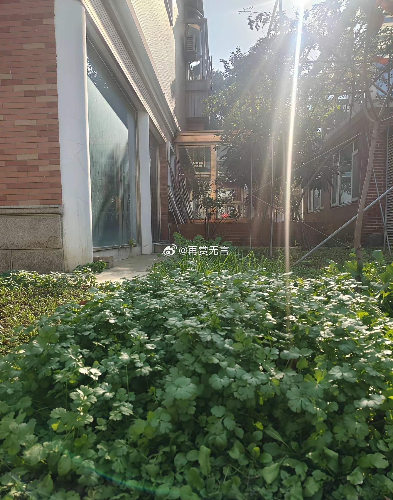 这是杨幂的家，还以为明星都住高楼大厦的，没想到也就仅仅两层楼而已