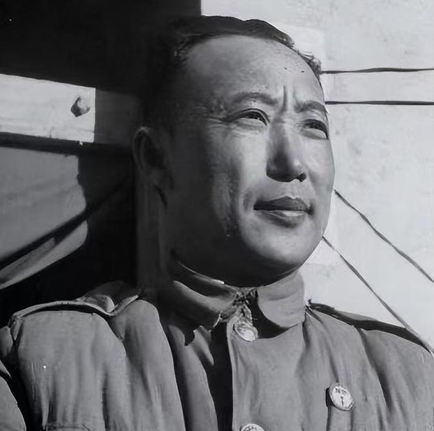 国民党里最倒霉的一位高官：他本来已经成功逃到台湾岛了，结果却被蒋介石硬是给赶回了