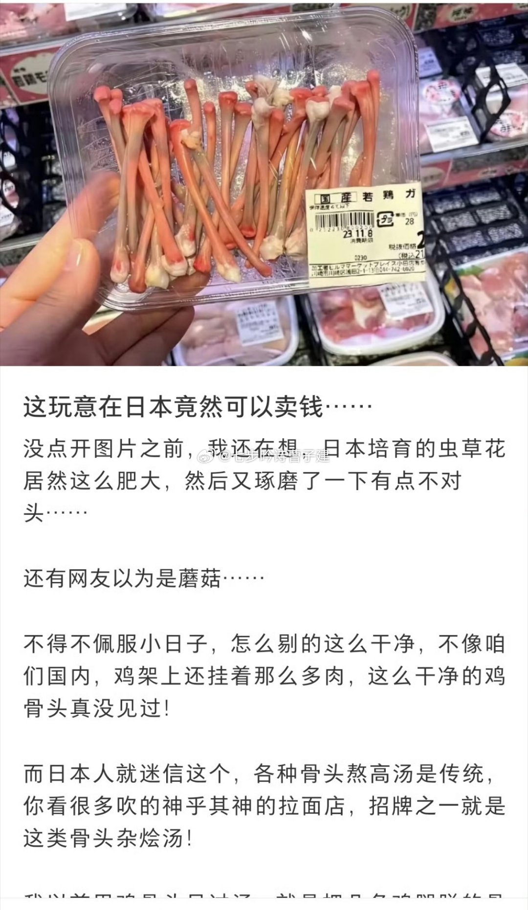 不是虫草花吗！