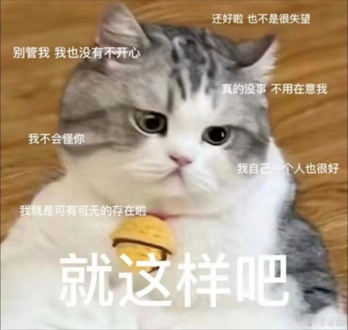 猫咪表情包。​​​
