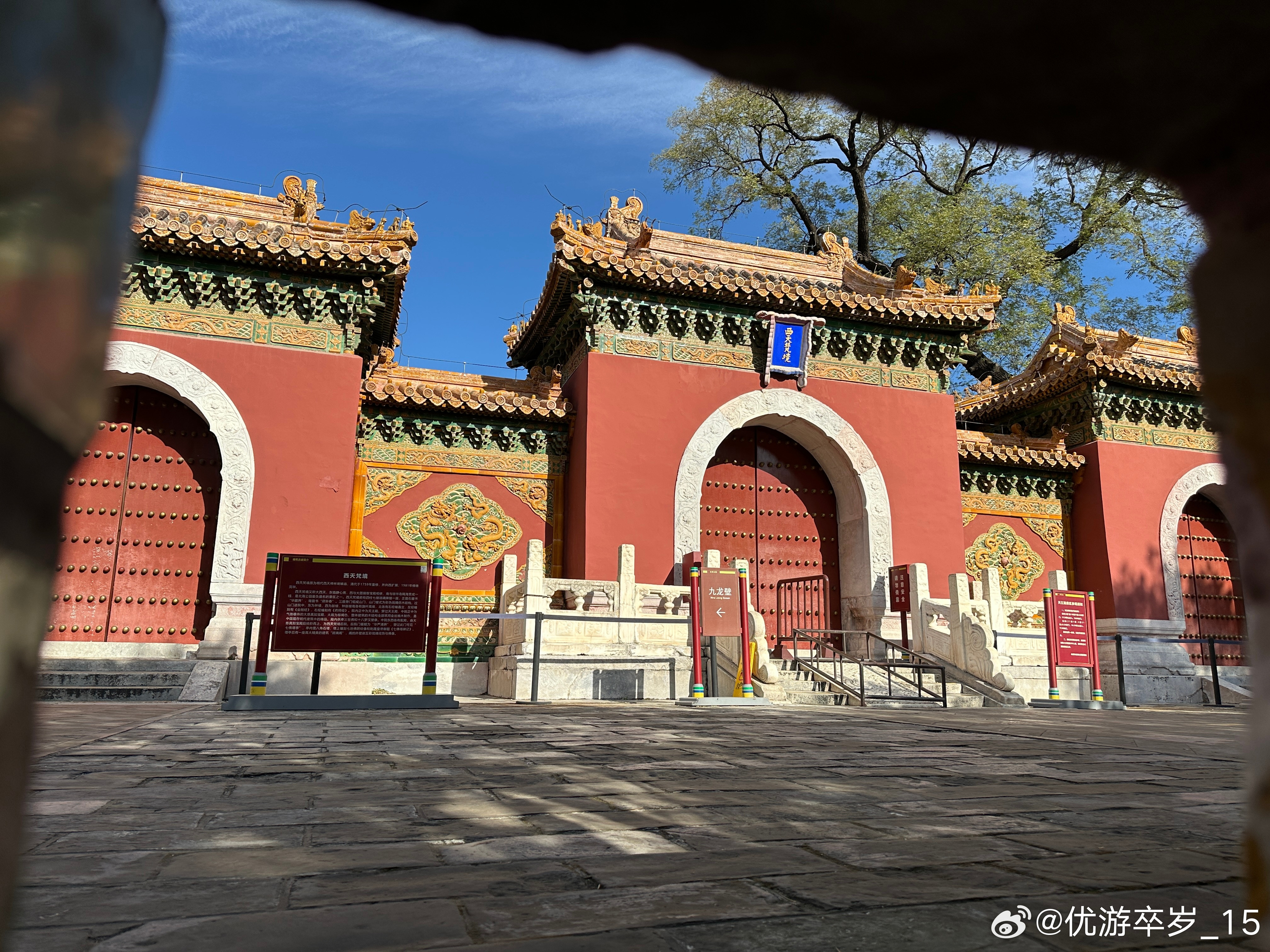 每天随手拍身边秋色迷人的北京，看深秋的阳光透过金黄的树叶，洒在朱红的宫墙上，仿