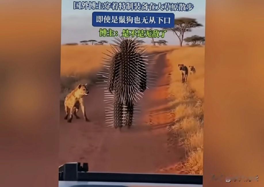 刺猬装[？？？]开了无敌