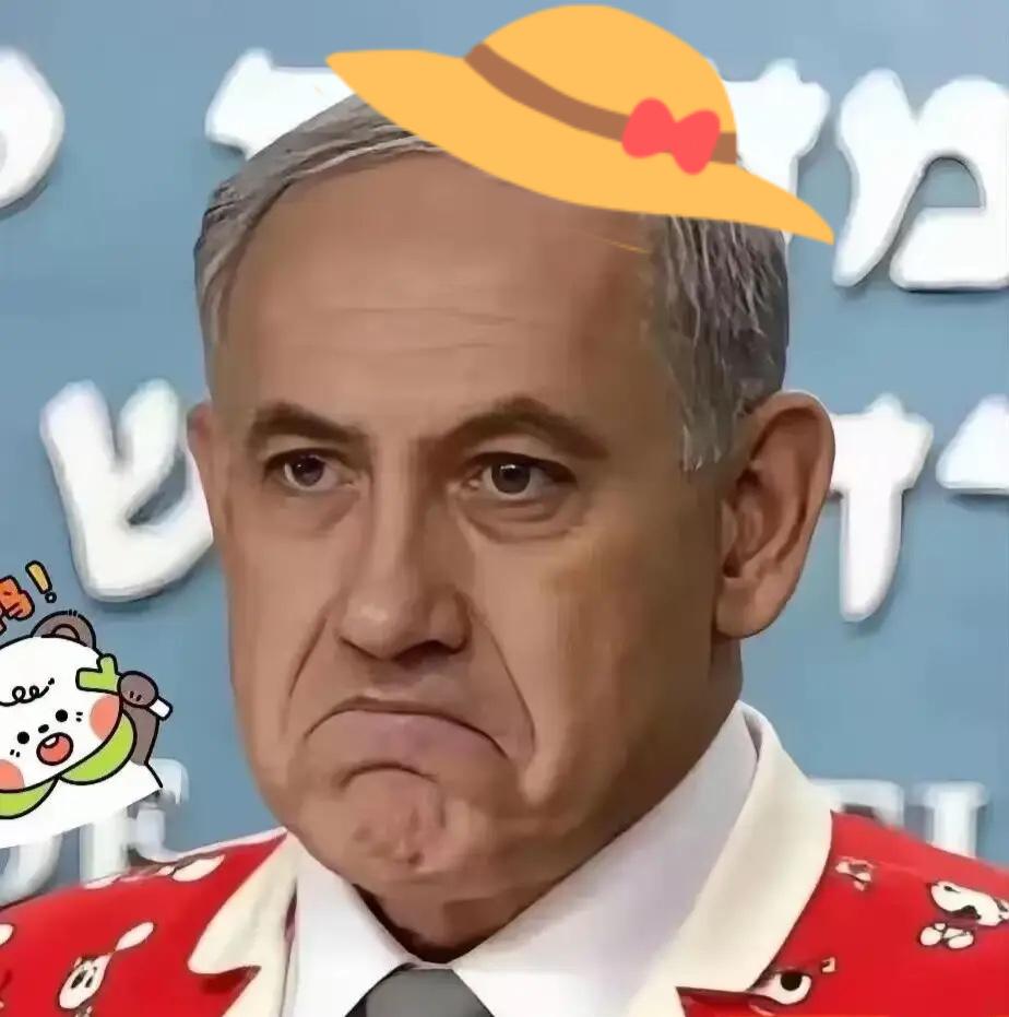 以色列突然翻脸！砍掉所有法国国防订单，2.6亿大单告吹，西方联盟彻底裂开以色