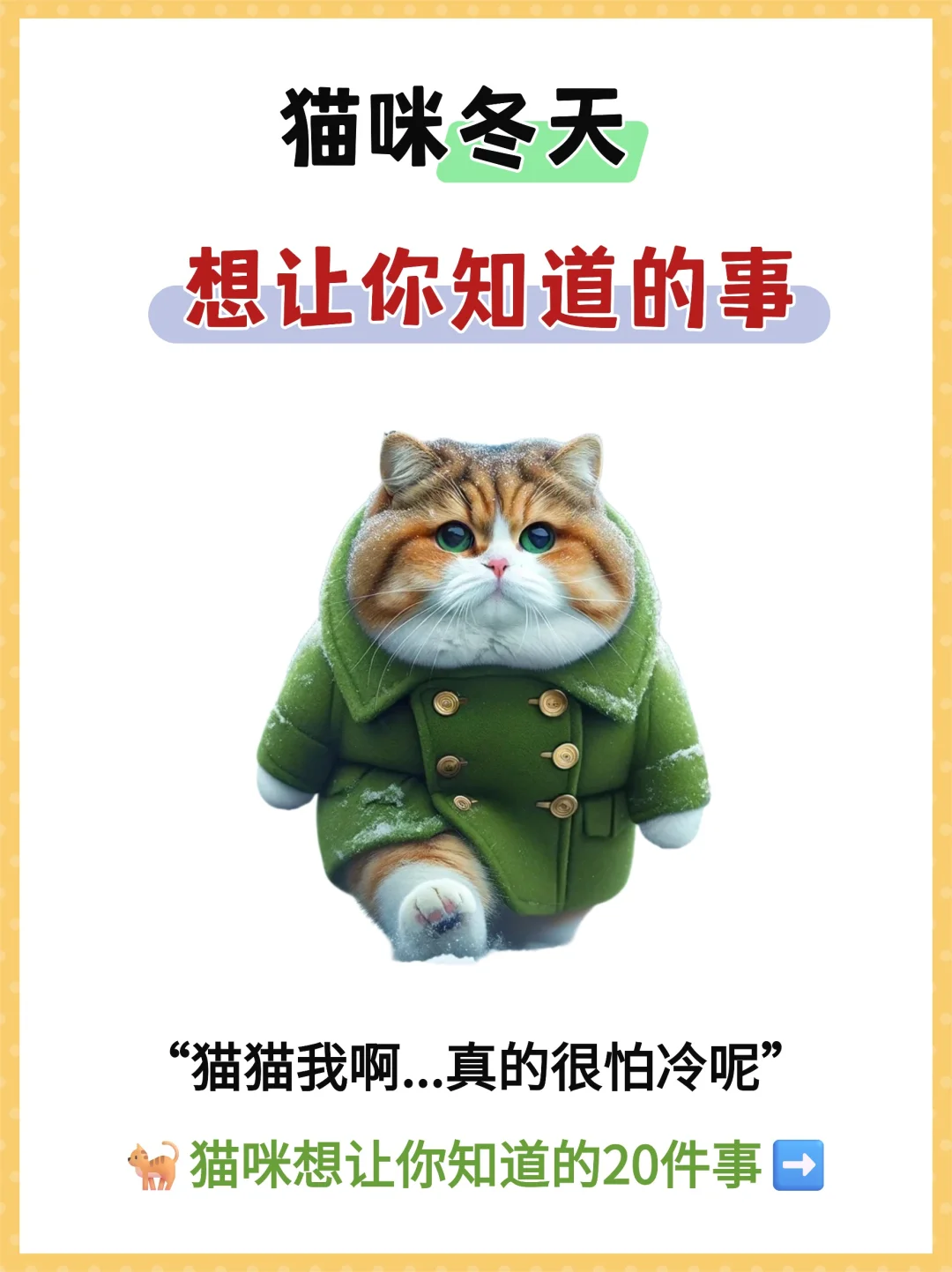 冬天猫咪想让你知道的20件事‼附保暖指南