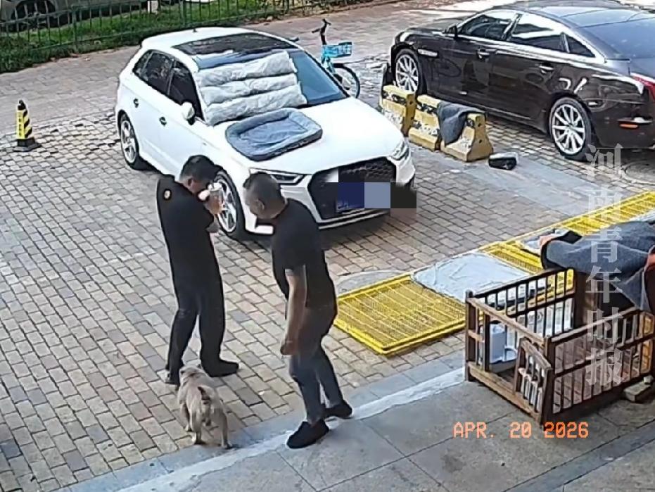 近日江苏南京，一男子和朋友在门口闲聊，男子发现朋友养着一只狗，2分钟后，他想到一