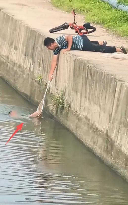 4月27日报道，广东东莞，一处水域边，一名男孩玩耍时不慎栽进水里。千钧一发之际，